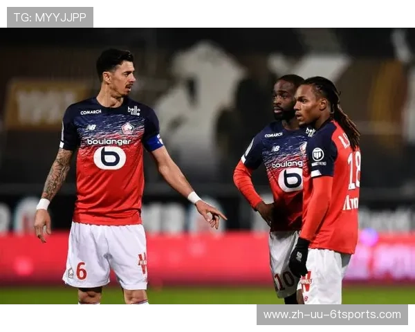 法甲外援使用频率统计及对比赛成绩的贡献